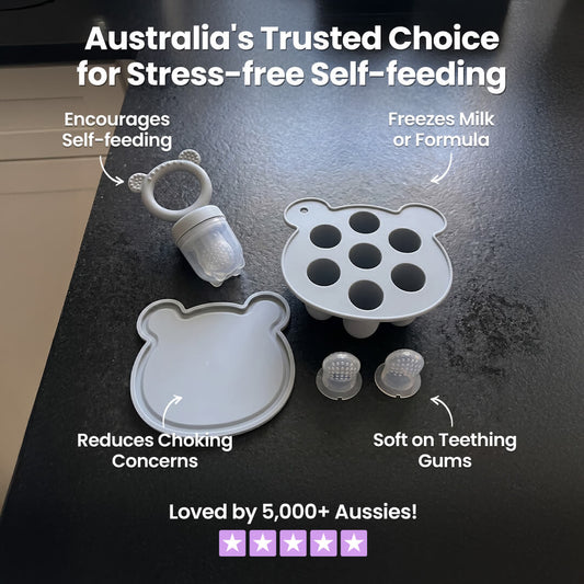 Chewzit™ Baby Silicone Fruit Food Feeder