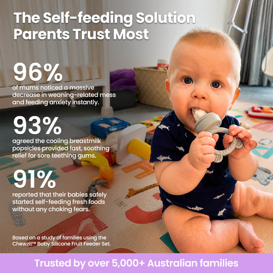 Chewzit™ Baby Silicone Fruit Food Feeder