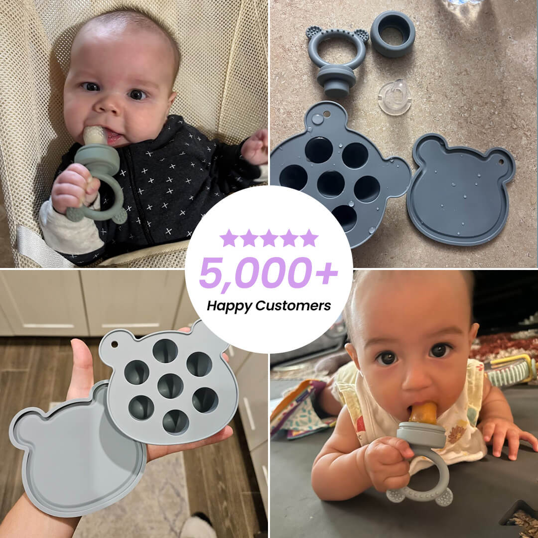 Chewzit™ Baby Silicone Fruit Food Feeder